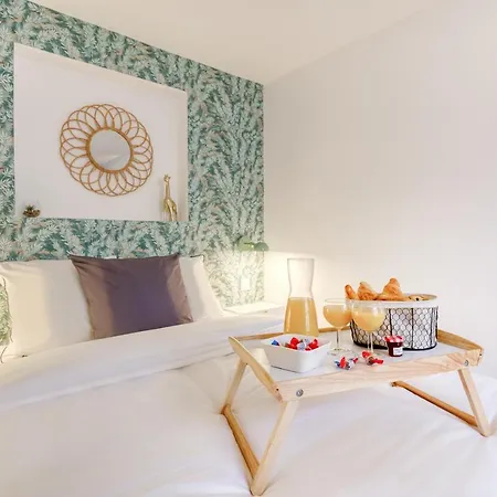 Le Roi Soleil T2 En Plein Coeur De ! Apartment Versailles